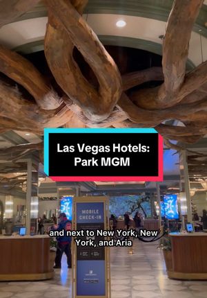 Video post by @vegasstarfish on TikTok