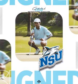 Image post by @nsu_mgolf on Instagram