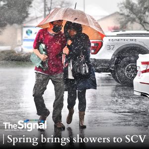Image post by @signalscv on Instagram