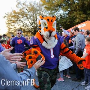 Image post by @thetiger_cu on Instagram