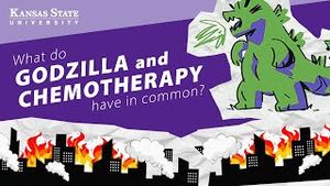 Video post by @k-state on YouTube