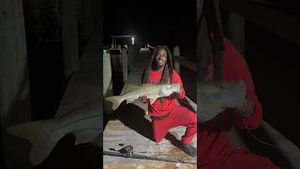 Video post by @hoodfishingentertainment on YouTube