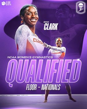 Image post by @clemsongymnastics on Instagram