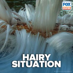 Image post by @foxweather on Instagram