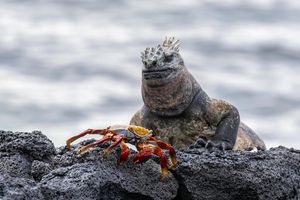 Image post by @claregphotos on Instagram