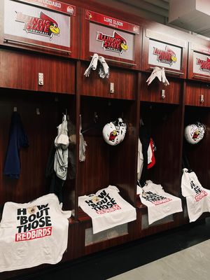 Image post by @illinoisstatenilstore on Instagram