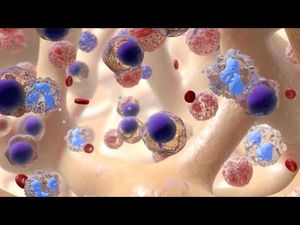 Video post by @nucleusmedicalmedia on YouTube