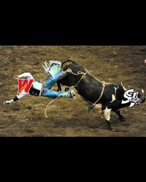 Image post by @sjbarracuda on Instagram