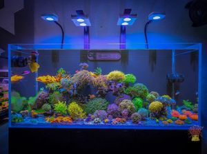 Image post by @aquaillumination on Instagram