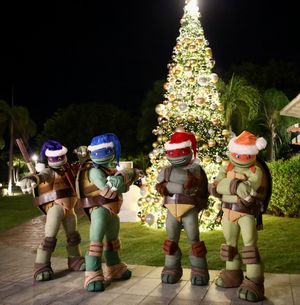 Image post by @nickresortpuntacana on Instagram