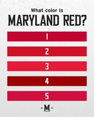 Image post by @marylandterrapins on Instagram