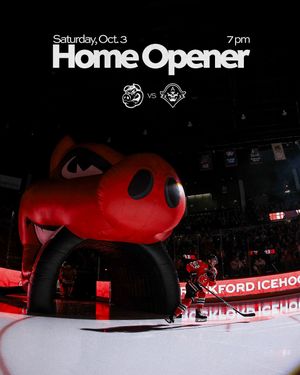 Image post by @rockfordicehogs on Instagram
