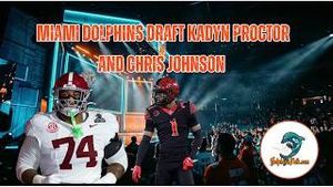Video post by @dolphinstalk on YouTube