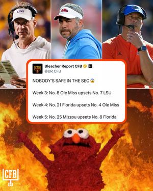 Image post by @br_cfb on Instagram