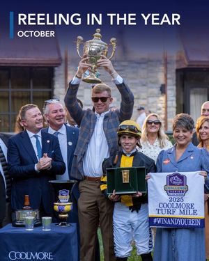 Image post by @coolmoreamerica on Instagram