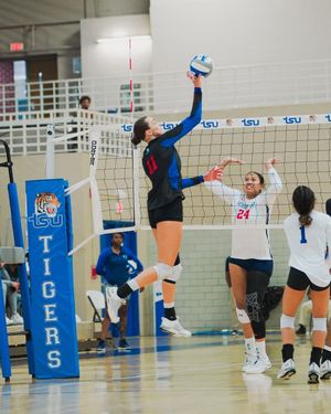 Image post by @tsutigersvb on Instagram