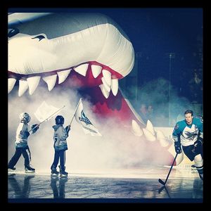 Image post by @sanjosesharks on Instagram