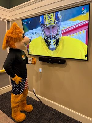 Image post by @NordyWild on Twitter