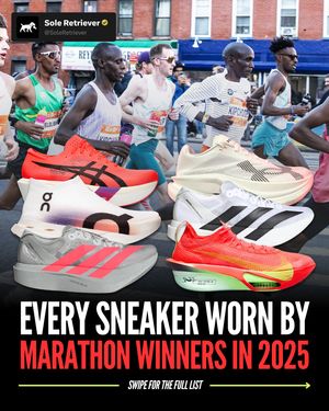 Image post by @soleretriever on Instagram
