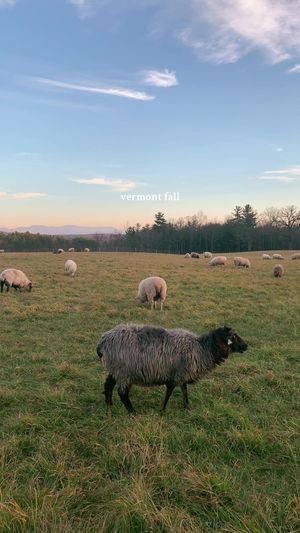 Video post by @filmbychloeg on TikTok