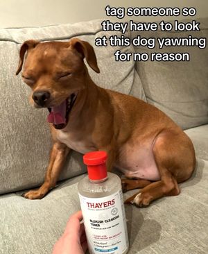 Image post by @thayers on Instagram
