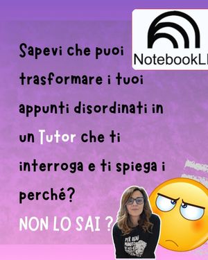 Image post by @la_prof_breccia on Instagram