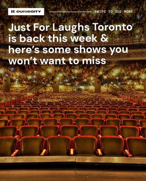 Image post by @curiocitytoronto on Instagram