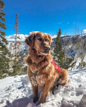 Image post by @pcski on Instagram