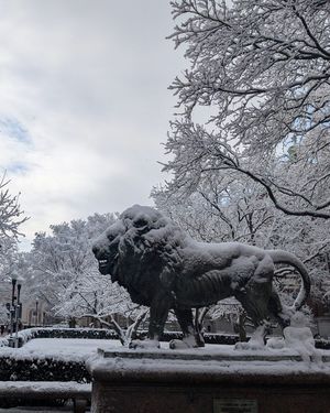 Image post by @columbia on Instagram