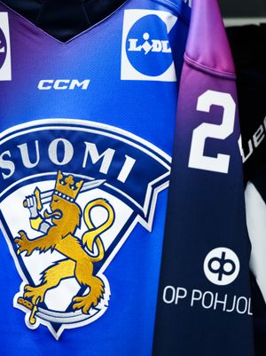 Image post by @leijonatfi on Instagram