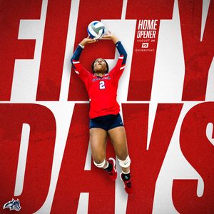 Image post by @StonyBrookVB on Twitter