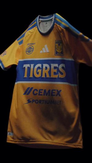 Video post by @clubtigresfemenil on TikTok