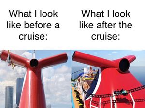 Image post by @theworldofcruiseships on Instagram
