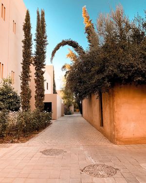 Image post by @aureliehemar on Instagram