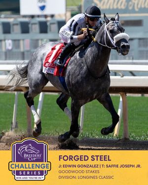 Image post by @breederscup on Instagram
