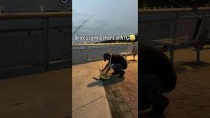 Video post by @barstooloutdoors on YouTube
