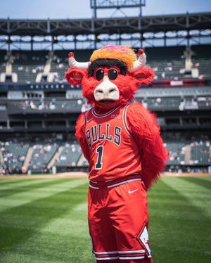 Image post by @bennythebull on Instagram