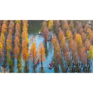 Image post by @zumapress on Instagram