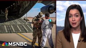 Video post by @msnbc on YouTube