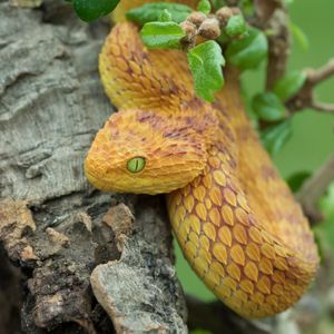 Image post by @discovery on Instagram