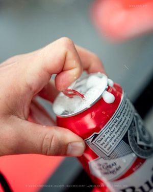 Image post by @anheuserbusch on Instagram