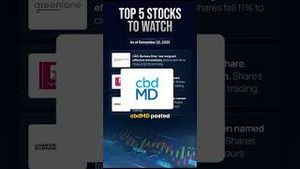 Video post by @benzinga on YouTube