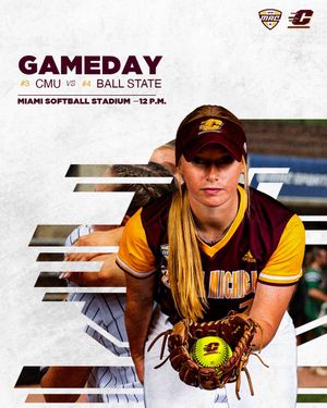 Image post by @cmichsoftball on Instagram