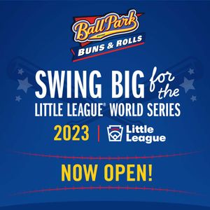 Image post by @littleleague on Instagram
