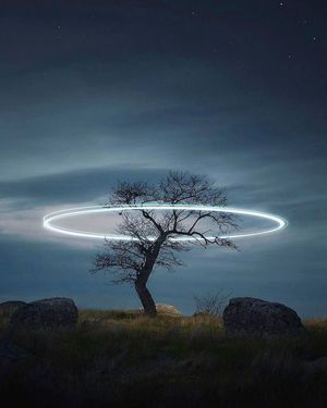Image post by @fubiz on Instagram