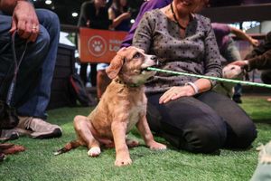 Image post by @grohoskephotography on Instagram