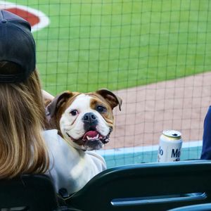 Image post by @sbcubs on Instagram