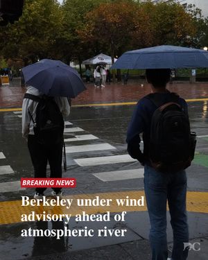 Image post by @dailycal on Instagram