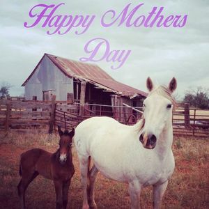 Image post by @prca_prorodeo on Instagram