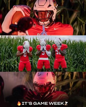 Image post by @illinoisstatenilstore on Instagram